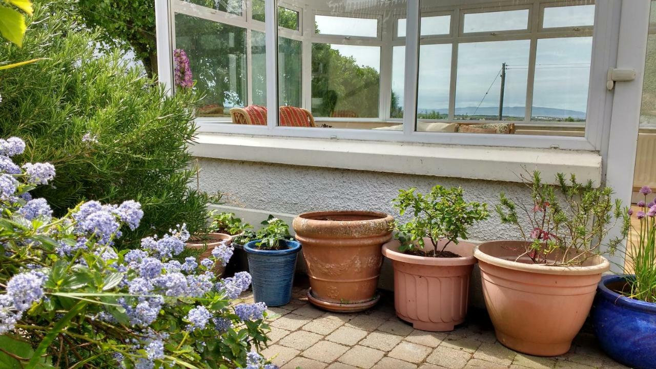 Rush View Bed & Breakfast Portrush Exterior photo